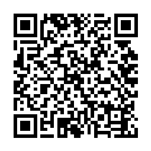 几乎在他们面前的那只幼蜂的尸体血液消失干净二维码生成