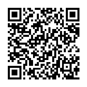 几乎在心中已经将他上升到了与自己等同的分量二维码生成