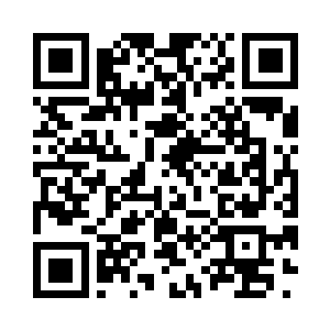 几乎在眨眼间一梭子弹便被他们全部打了出去二维码生成
