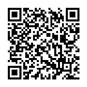几乎堪称最强的四个高手了……而他们的亲传弟子二维码生成