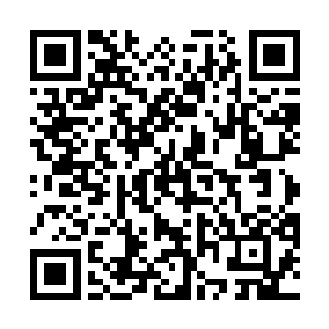 几乎天天都在想方设法的打探收集天洲大陆修士的信息二维码生成
