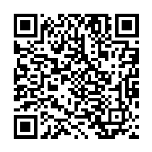 几乎完全无法感到自己小腹的战气虚空之中多了什么东西二维码生成