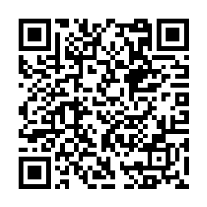 几乎将一小半个左手臂上的真元全部送进骨髓之后二维码生成