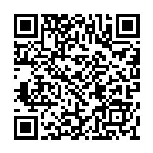 几乎将所有一切卷入其中的物体通通绞成了粉末二维码生成