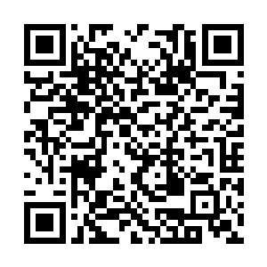 几乎将所有人的实力水平给拉到了同一道水准之内二维码生成