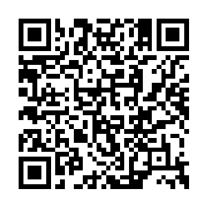 几乎将箱子里所有的燃烧弹全都扔进了大楼里面二维码生成