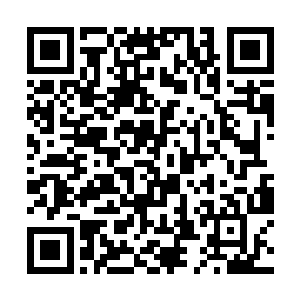几乎将苏江市整个市内存在的慕容族人全部杀干杀尽二维码生成