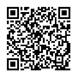 几乎就可以当做是一个拥有智慧的生命来看待了二维码生成