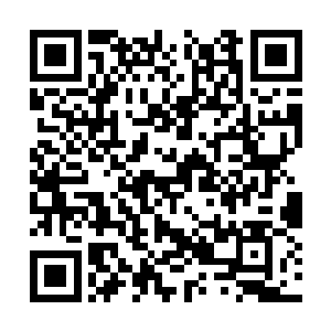 几乎就在炼狱魔主和寅虎联手打破了波塞冬的防御二维码生成