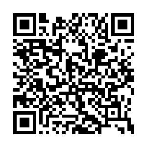 几乎就在目光扫过去的瞬间便与对方产生了交织二维码生成