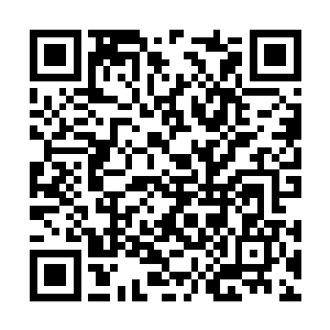 几乎就是为卞梓宁和麹娅打开了通向歌舞团的大门二维码生成