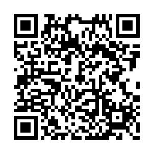 几乎就是以后天机榜滴血封爵的一次预演和排位二维码生成