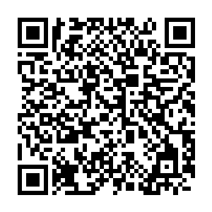 几乎就是贴着风化很严重的石块砌成的围墙根和附近的灌木丛之间移动二维码生成