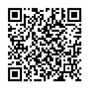 几乎就等于是兄弟会高层整体行踪落在了有心人的眼中二维码生成