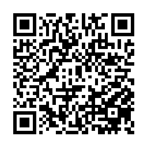 几乎就要达到他心里对于首播和二轮的总定价了二维码生成