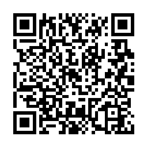 几乎已经把人族的飞艇和空中部队虐得体无完肤二维码生成