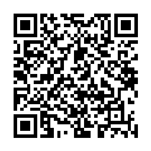 几乎快要将叶翔体表的玄枯劲彻底打碎了……可叶翔的爆发二维码生成