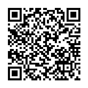 几乎惊得跟在后面的叶妍吓得一个蹦高扑进自己怀里二维码生成