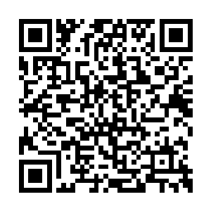 几乎所有人心里都清楚明白八皇子下一步的打算二维码生成