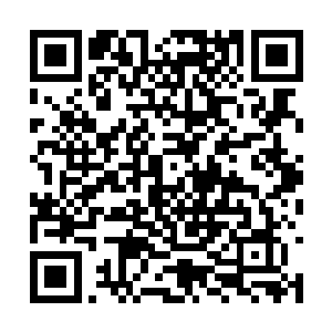 几乎所有人的眼神之中也都露出了一抹炽热的光芒二维码生成
