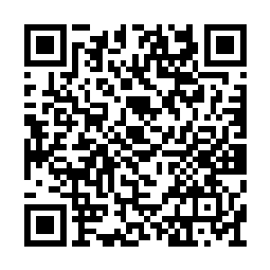 几乎所有人都把注意力集中到了文森特的身上了二维码生成