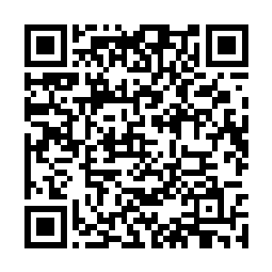 几乎所有人都知道了慕容要与三脉少主一战的消息二维码生成