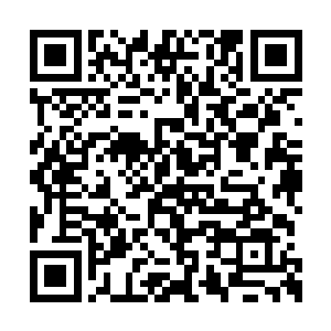 几乎所有人都说今天晚上还会跑来看午夜提前场二维码生成