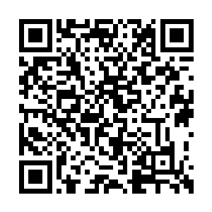 几乎所有修士的目光都集中在许紫烟等人的身上二维码生成
