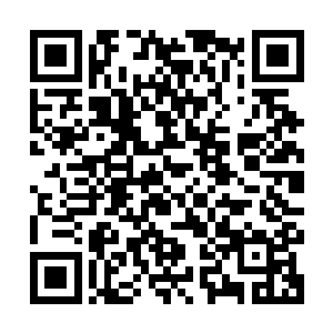 几乎所有修真界的秘境再次开启时都会因为天地灵气的重新滋养二维码生成