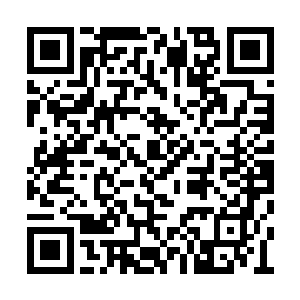 几乎所有处在黑暗和半黑暗区域的宗门都在行动二维码生成