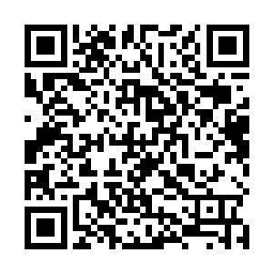 几乎所有支着耳朵听消息的销售员们都忍不住哈了一声二维码生成