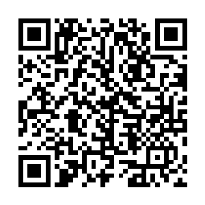 几乎所有核心构件和法宝单元统统替换成了最尖端的型号二维码生成
