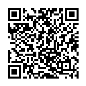 几乎所有的人看见果而就把果而当成一种美味的水果二维码生成