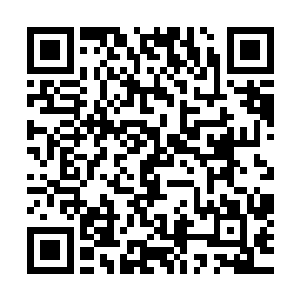 几乎所有的人都把目光集中在了莫凡与于凯两个人的视角上面二维码生成