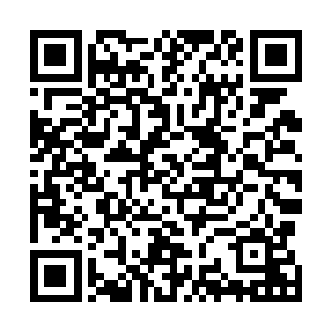 几乎所有的人都被叶秋做的饭散发出来的香味吸引了下来二维码生成
