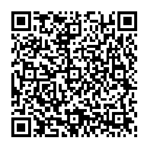 几乎所有的军情机构都认为自由长老团应该是利用这片巨大的人迹稀少雨林隐藏营地二维码生成