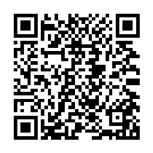 几乎所有的同学们都在为林烽和秦嫣然的拥抱而欢呼着尖叫着二维码生成