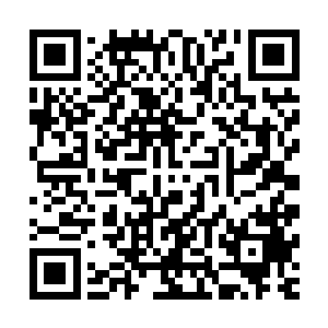 几乎所有的家族都在第一时刻开始回忆起当初有没有落井下石二维码生成