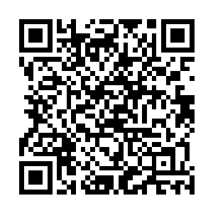 几乎所有的怒火都发在侍卫一和那刚出门房的弓箭手身上二维码生成