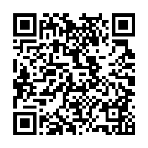 几乎所有的战斗人员都瞪大了眼睛盯着那个传送阵二维码生成