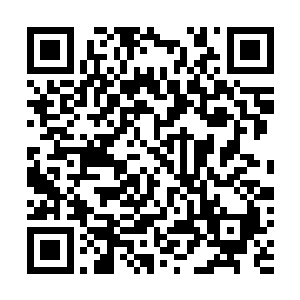 几乎所有的碳基智慧生命在从工业时代飞跃到信息时代时二维码生成