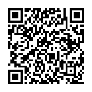 几乎所有魔法师公会的成员都受到波贝尔的控制二维码生成