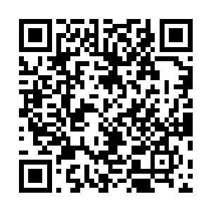 几乎整个东神域都知道了大武王朝招到了一个废材驸马爷二维码生成