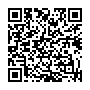 几乎整个国内歌坛都在努力地研究他此前推出的十四首歌二维码生成