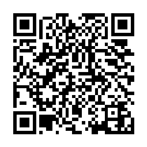 几乎整个国际古玩界都在密切关注着鉴宝行的一举一动二维码生成