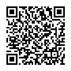 几乎整个圣隆星界的那些星域级强者全部都去了二维码生成