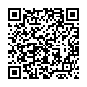 几乎是一点点强迫着纯白树心上的四只血妖姬倒退回妖界~二维码生成