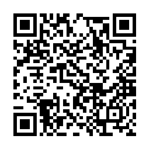 几乎是刹那间就将桀骜少年的真气巨掌切割的粉碎二维码生成