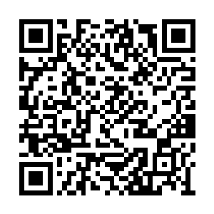 几乎是刹那间风清扬便走向了独木桥通道的地方二维码生成