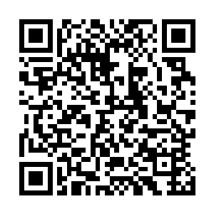 几乎是在一路缤纷的桃花的洗礼与围观之人的呐喊欢呼声中二维码生成